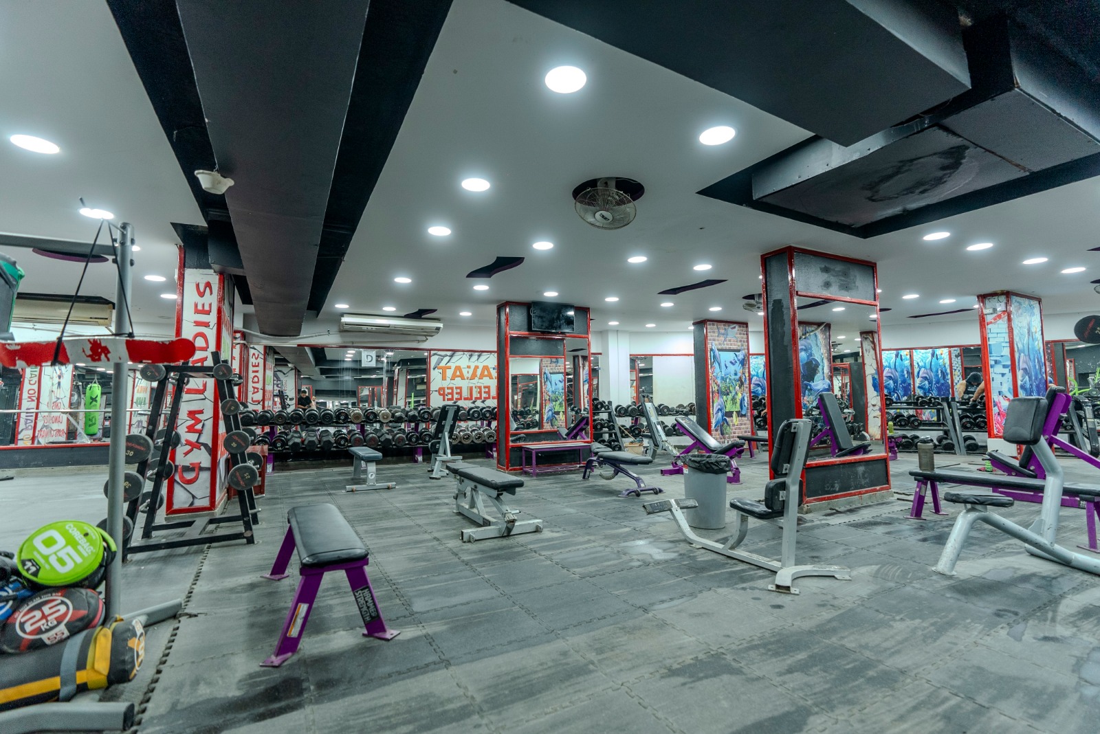Gallery image